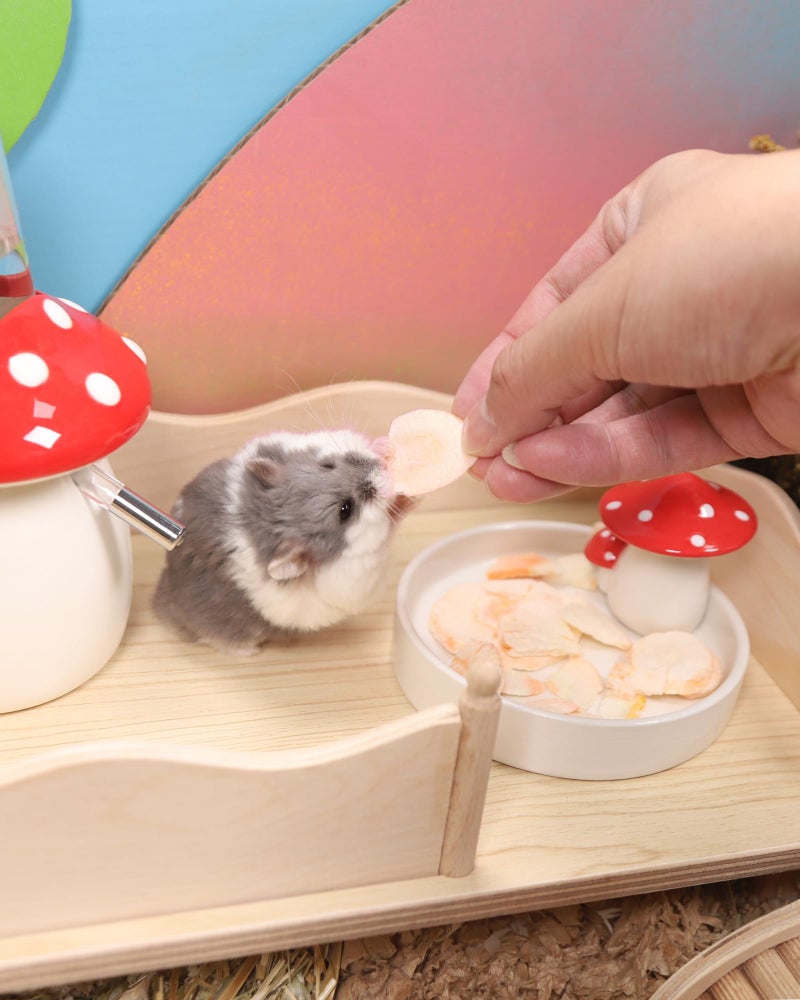 Niteangel Hamster Snack & Treats Toy - Small Animal Natural Treat for Dwarf Syrian Robo Hamsters Gerbils Mice Lemmings Degus or Other Small-Sized Pets - Image 2