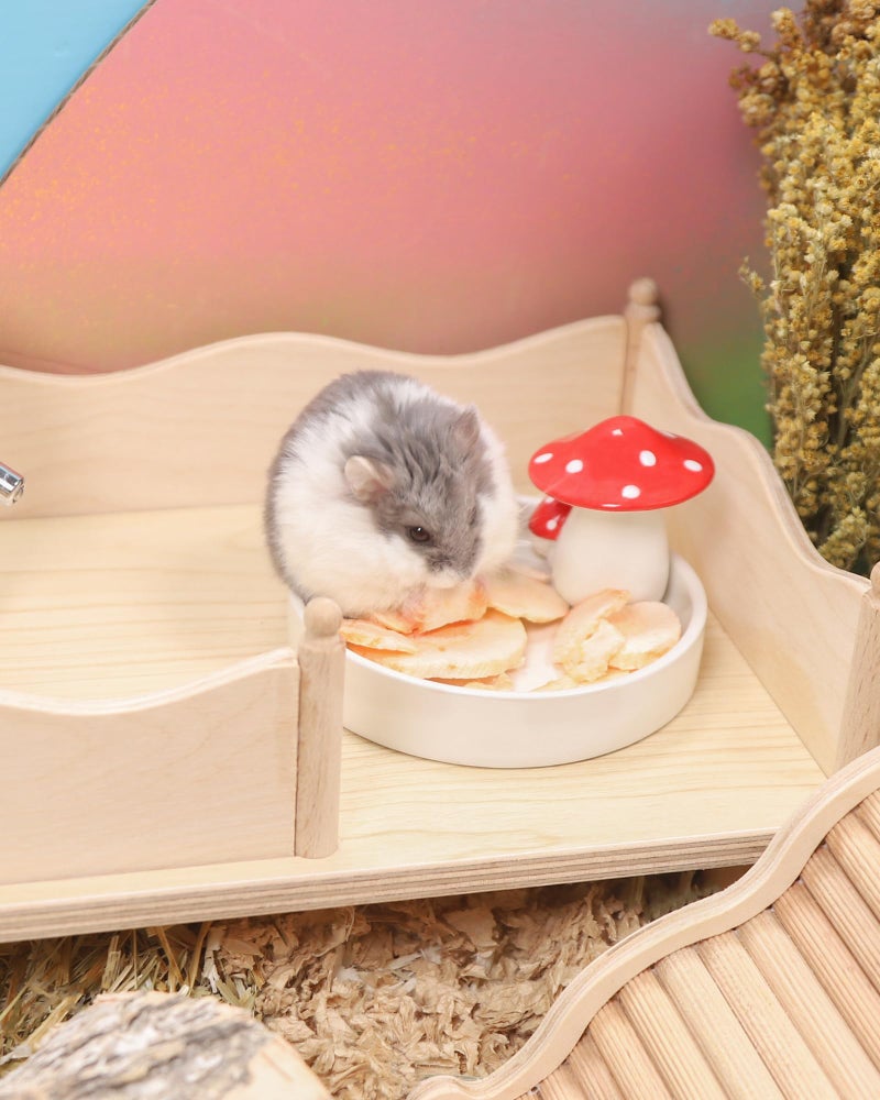 Niteangel Hamster Snack & Treats Toy - Small Animal Natural Treat for Dwarf Syrian Robo Hamsters Gerbils Mice Lemmings Degus or Other Small-Sized Pets - Image 4