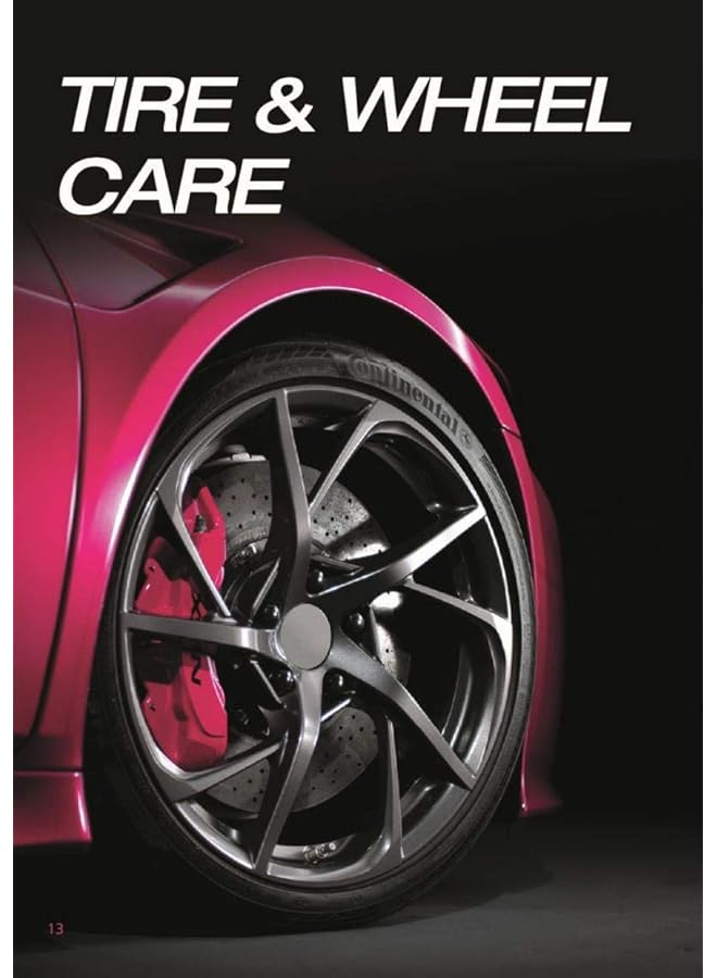 Flamingo Car Tire Polish - Image 2