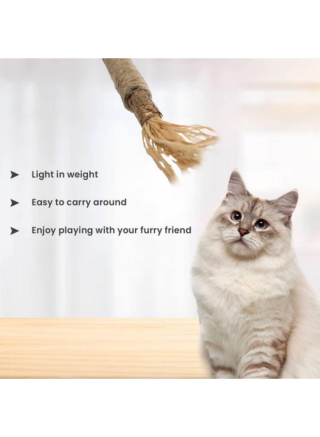 Rena Happy Cat Combo: 1 Pack of Kitty LicksTuna Lickable Treat and 1 Matatabi Stick Cat Toy with Tassels - Image 5