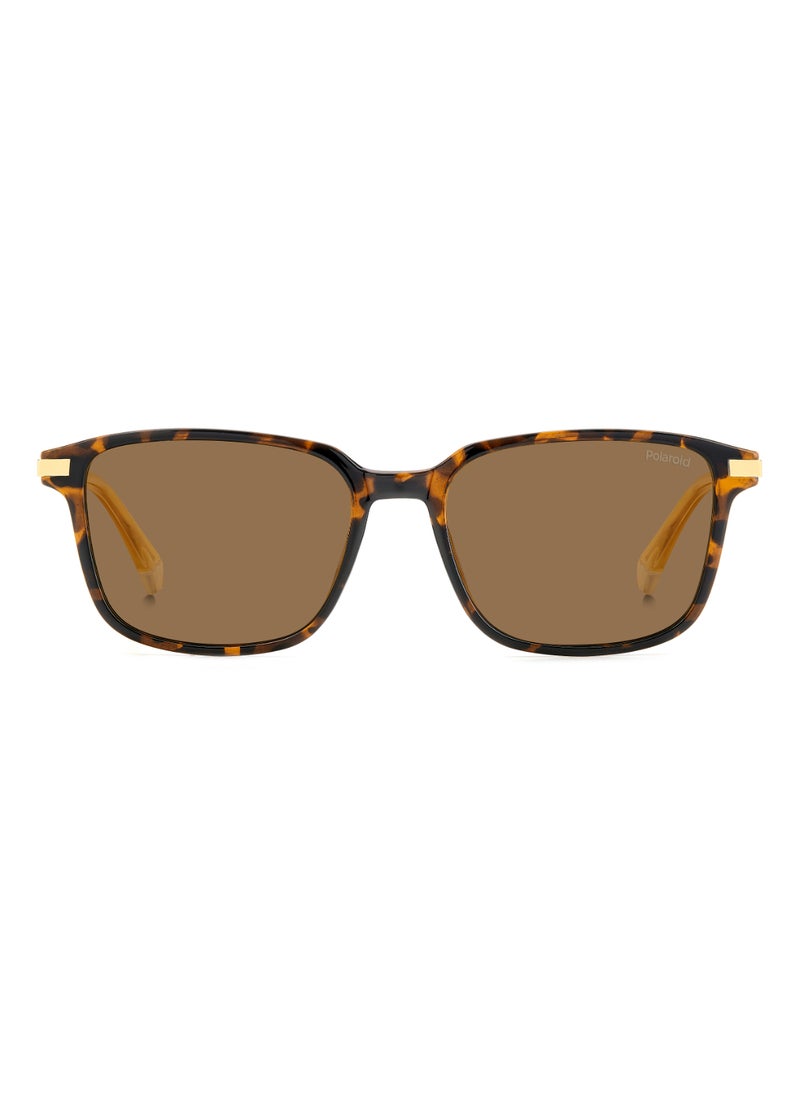 Polaroid Men's Polarized Square Shape Metal Sunglasses Pld 4169/G/S/X Gold 42 - Lens Size: 41.8 Mm - Hvn  - Image 3