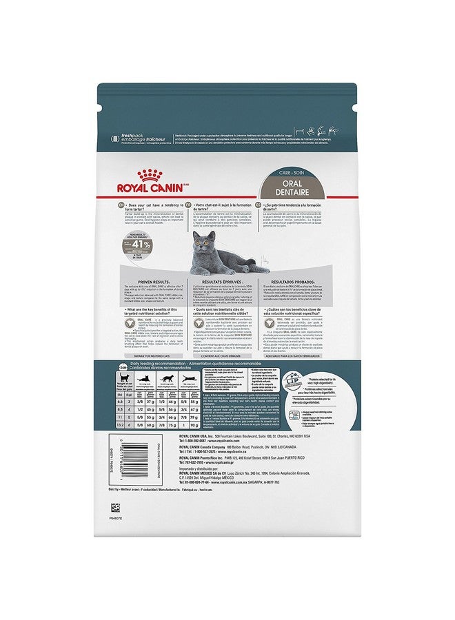 رويال كانين طعام القطط الجاف للعناية بالأسنان من رويال كانين فيلين كير نيوتريشن، كيس 3 أرطال - Image 2