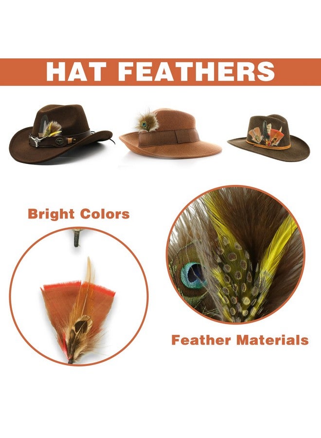 CANIPHA 12Pcs Hat Feathers For Cowboy Hats Small Feathers For Hats Natural Assorted Feathers Cowboy Hat Feather Colorful Craft Feathers Hat Feathers For Diy Craft Accessories Decorations (12 Style) - Image 2
