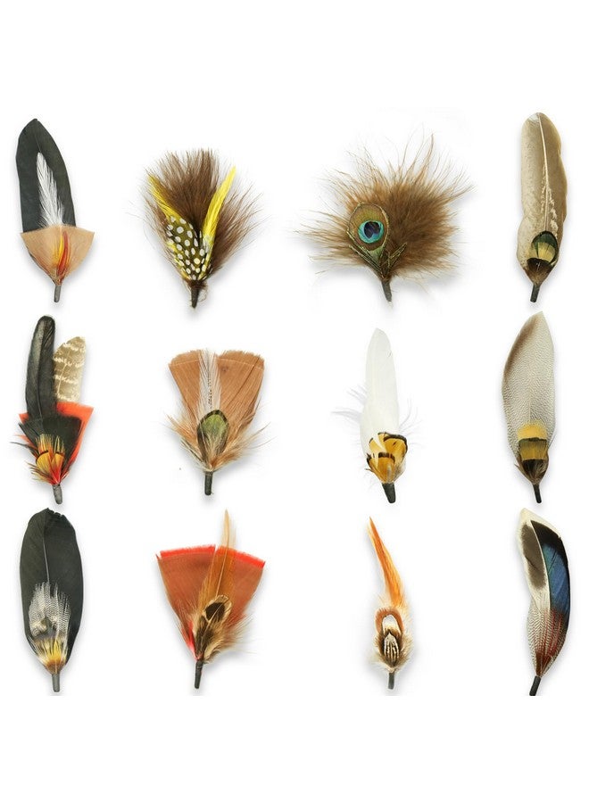 CANIPHA 12Pcs Hat Feathers For Cowboy Hats Small Feathers For Hats Natural Assorted Feathers Cowboy Hat Feather Colorful Craft Feathers Hat Feathers For Diy Craft Accessories Decorations (12 Style) - Image 1