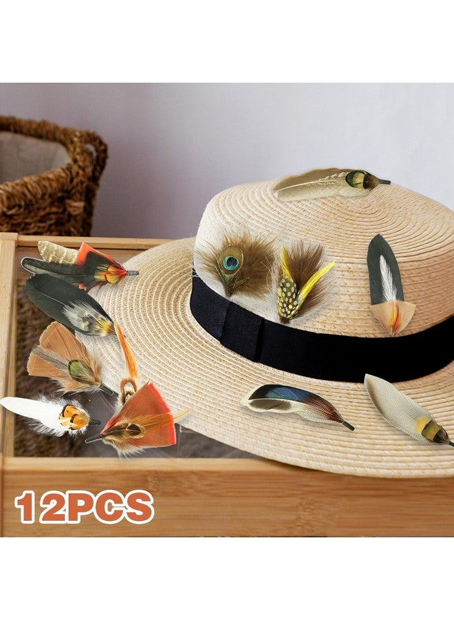 CANIPHA 12Pcs Hat Feathers For Cowboy Hats Small Feathers For Hats Natural Assorted Feathers Cowboy Hat Feather Colorful Craft Feathers Hat Feathers For Diy Craft Accessories Decorations (12 Style) - Image 3