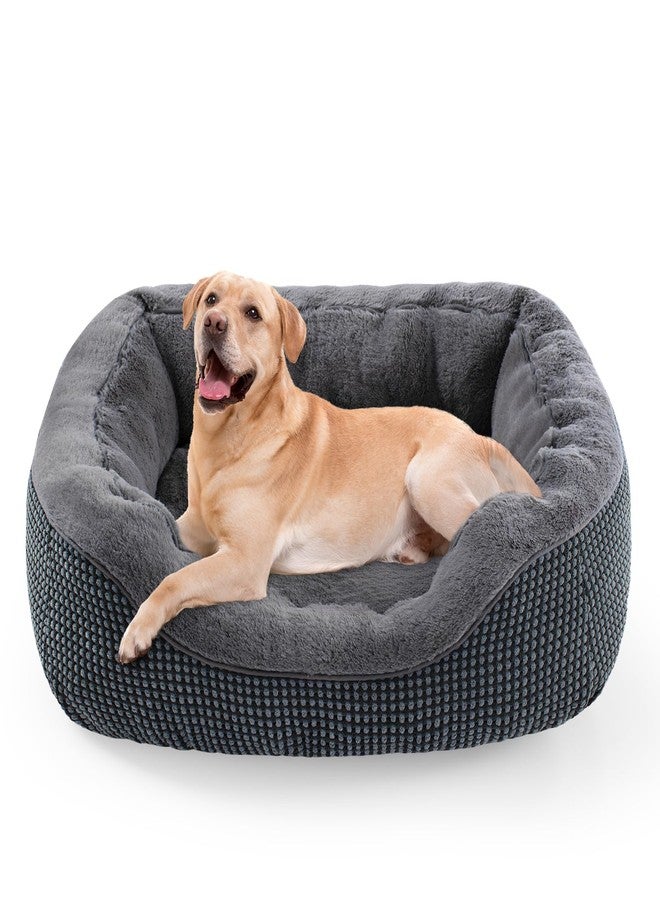 INVENHO Large Dog Beds for Large Dogs Washable, Rectangle Dog Beds Large Sized Dog, Orthopedic Dog Bed, Warming Soft Sleeping Puppy Bed Durable Pet Bed with Anti-Slip Bottom L(35"x25"x10") - Image 1