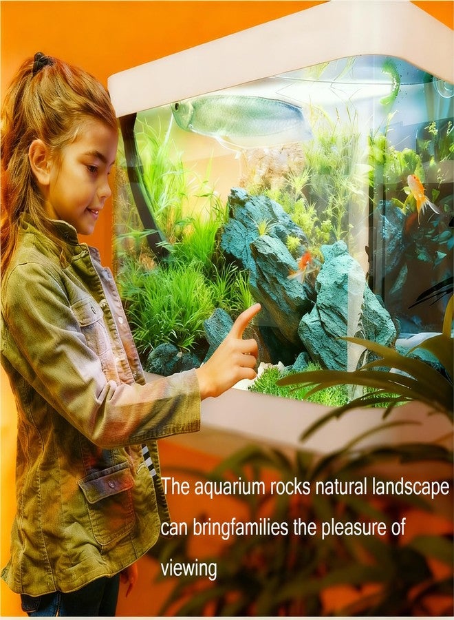 TankMatDecor 10lLBS Aquarium Rocks Seiryu Stone Natural Hardscape Stone for DIY Aquariums, Fish Tanks, Bonsai, Terrariums, Paludarium Amphibian Enclosures (10Lb (3-8 inch), Seiryu Stone) - Image 3