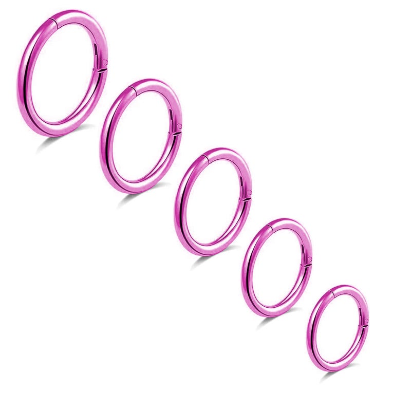 BLISI 5Pcs G23 Titanium Nose Rings 16G/18G/20G Hinged Clicker Segment Pink Lip Septum Rings Tragus Cartilage Sleeper Earrings, 6mm-10mm Hypoallergenic Nose Ring for Women Men - Image 1