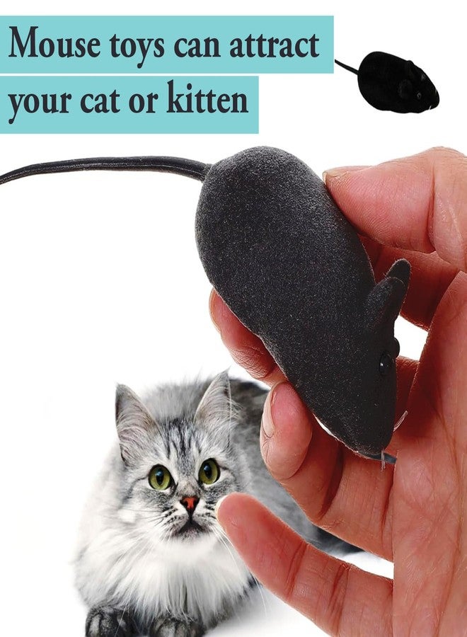 Mintique 6Pcs Squeaky Cat Toy Mouse Squeaking Sound Interactive Indoor Outdoor Fetching Catching Cat Kitten Playing Toy - Image 3