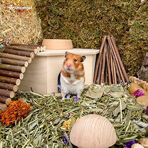 Niteangel Birch Chamber-Maze Hamster Hideout - Small Pets Woodland House Habitats Decor for Hamster Mice Gerbils Mouse - Image 3