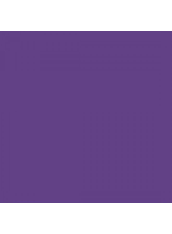 Cricut Infusible Ink Transfer Sheets -4 Sheets 12" x 12" - Animal Brights Pattern - For Cricut EasyPress, Maker, Explore Air 2 - Image 2