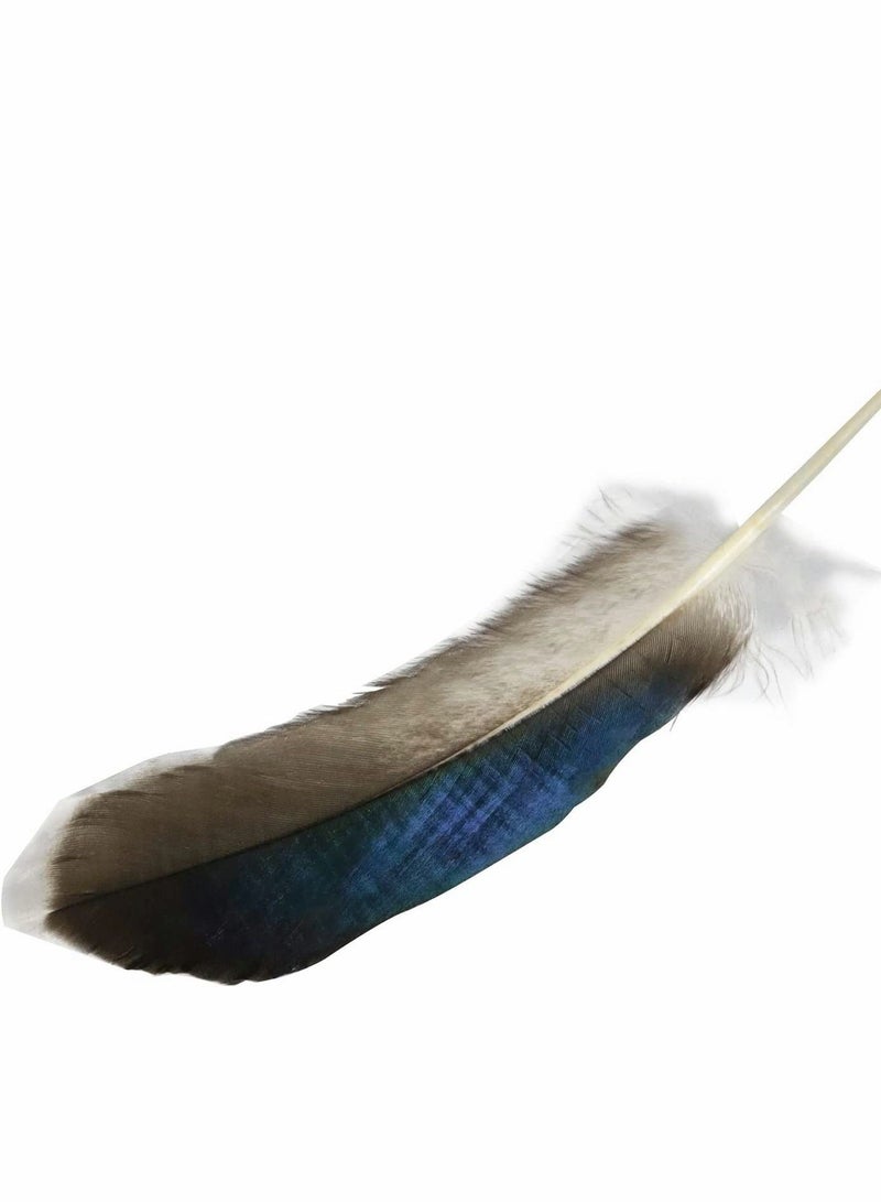 SYOSI 150 PCS Duck Feathers, Natural for DIY Craft Art, Decor Carnival Halloween Handwork Clothing Costumes Hair Hats Crafts Home Wedding Party Decoration - Image 2