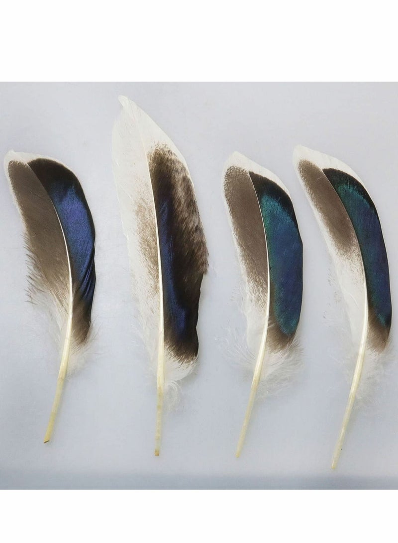 SYOSI 150 PCS Duck Feathers, Natural for DIY Craft Art, Decor Carnival Halloween Handwork Clothing Costumes Hair Hats Crafts Home Wedding Party Decoration - Image 4