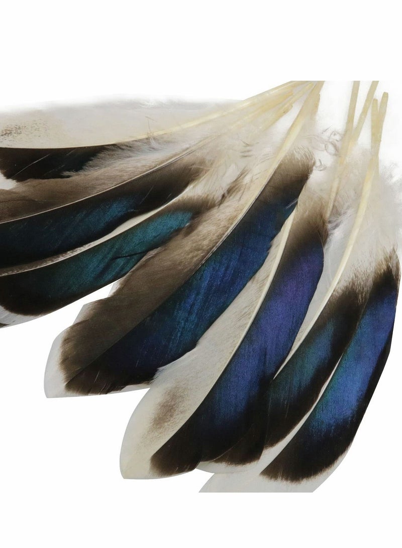 SYOSI 150 PCS Duck Feathers, Natural for DIY Craft Art, Decor Carnival Halloween Handwork Clothing Costumes Hair Hats Crafts Home Wedding Party Decoration - Image 3