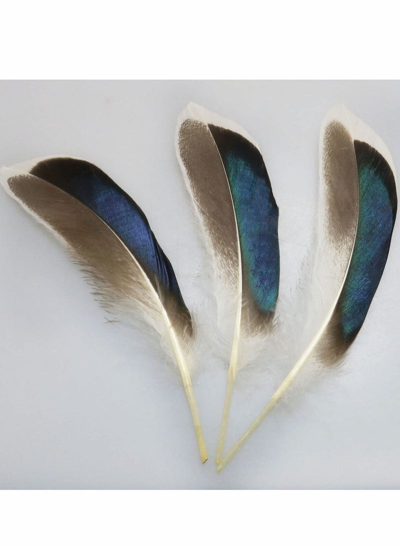 SYOSI 150 PCS Duck Feathers, Natural for DIY Craft Art, Decor Carnival Halloween Handwork Clothing Costumes Hair Hats Crafts Home Wedding Party Decoration - Image 5