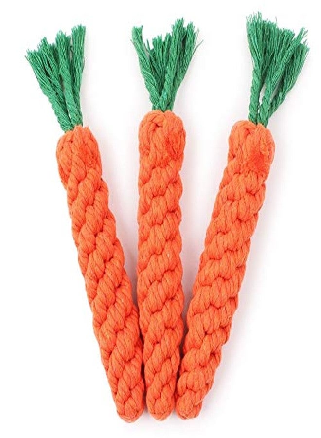 Generic 1 Pcs Cute Adorable Pet Chew Toy Straw Carrot for Hamster Guinea Rabbit Rat Animal Supplies Maize Pets: 1 - Image 3