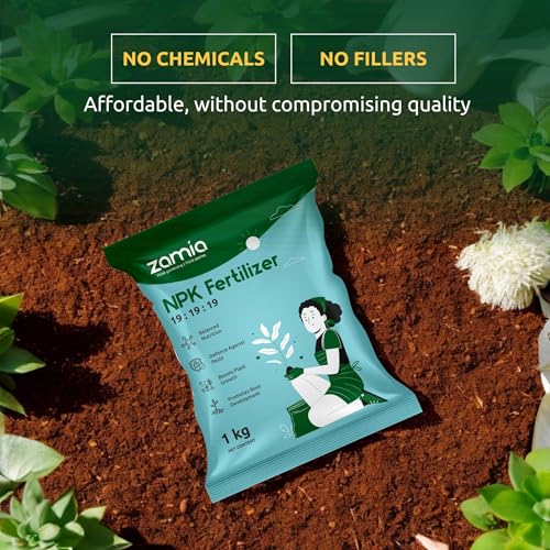 Zamia NPK 19 19 19 Fertilizer | 1kg | Balanced Plant Food for Vegetables, Fruits & Flowers - Image 3