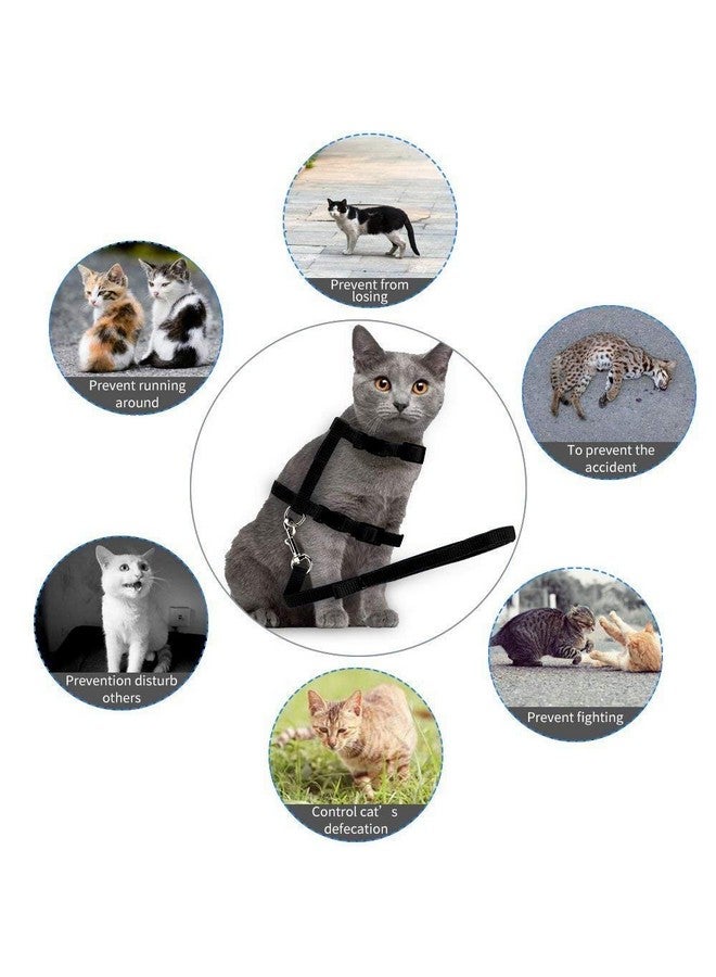 طقم حزام مقود للقطط - حزام مقود من النايلون قابل للتعديل مع مجموعة حزام للمشي مع الحيوانات الأليفة الصغيرة - سادة (أسود) - Image 5