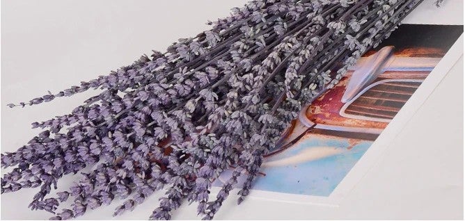 Bluejw G10 Lavender Soap Gift Set: Natural Dried Lavender Bunches, Handmade Soap, & Dried Plants in Gift Box - Easter Decoration, 50cm - Image 1