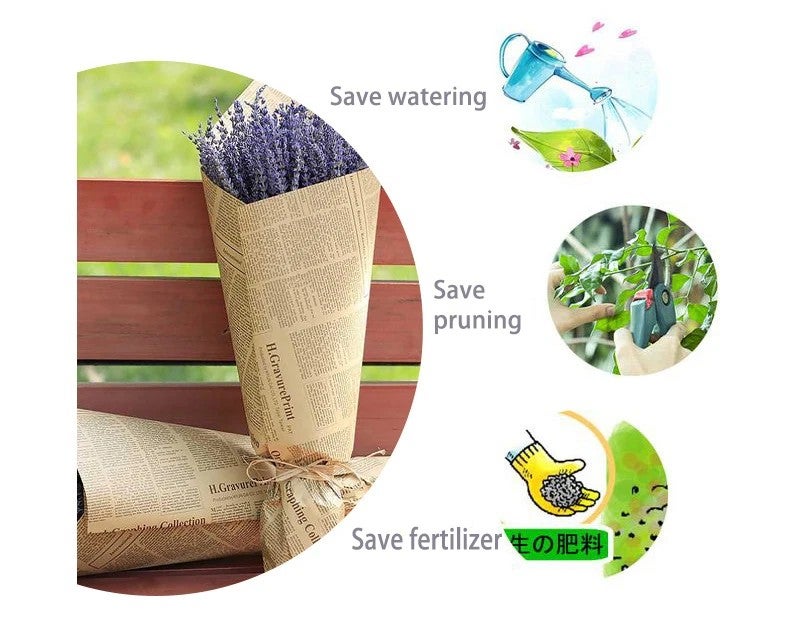 Bluejw G10 Lavender Soap Gift Set: Natural Dried Lavender Bunches, Handmade Soap, & Dried Plants in Gift Box - Easter Decoration, 50cm - Image 4