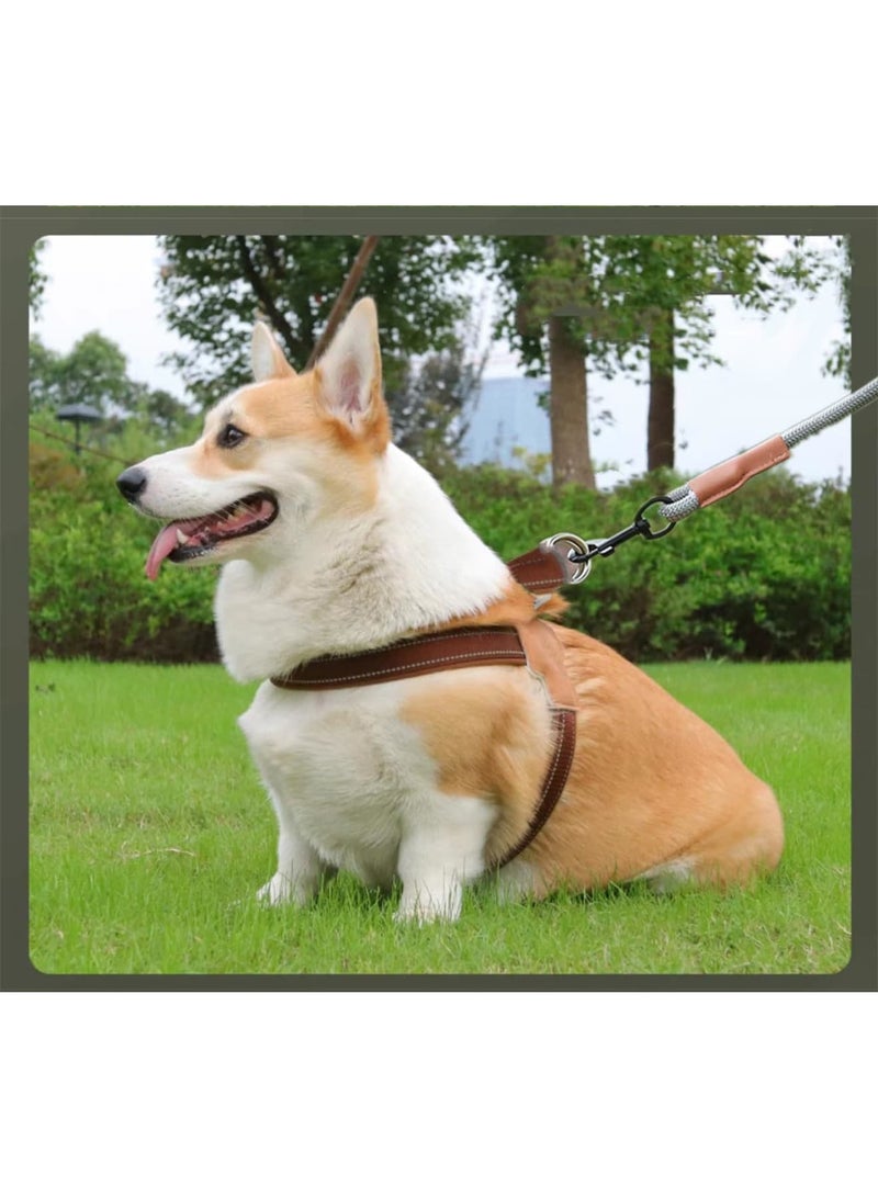 SYOSI Dog Harness and Leash Set for Large Medium Small Dogs, Anti Pull Step-in Adjustable Reflective Vest with Soft Padded Chest Strap and Durable Nylon Rope for Pet Walking and Training (Black, L) - Image 2