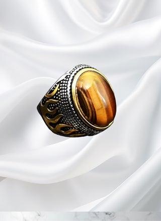 اللهب المحوري - pzsku/Z6D2F161046CE1F017DA5Z/45/1746388486/a1f57cb1-a975-4669-9b5a-3bf1c06272cf