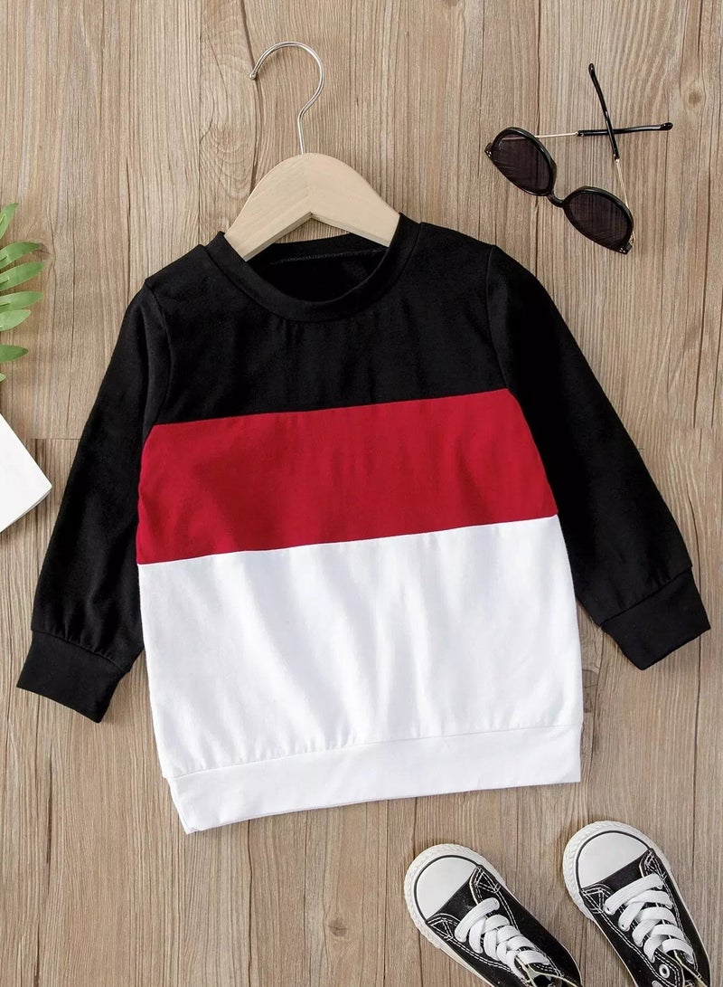 Toddler Boys Cut And Sew Sweatshirt - Image 1