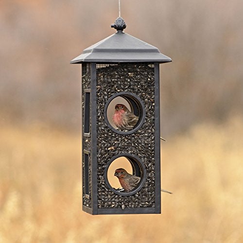 Perky-Pet B00303 Fly-Through Wild Bird Feeder - Image 5