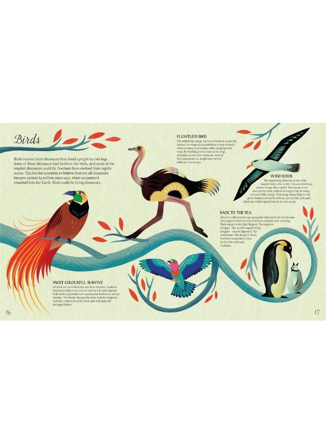 Darwin's Tree of Life - Image 2