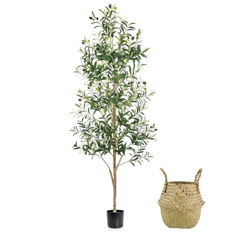 Caxchiling Faux Olive Tree 6FT Artificial Potted Tree with Planter Silk Plants Indoor Outdoor Lifelike Olive Plants with Natural Wood Trunk Fruits and Buds Home Office Decor 1 Pack