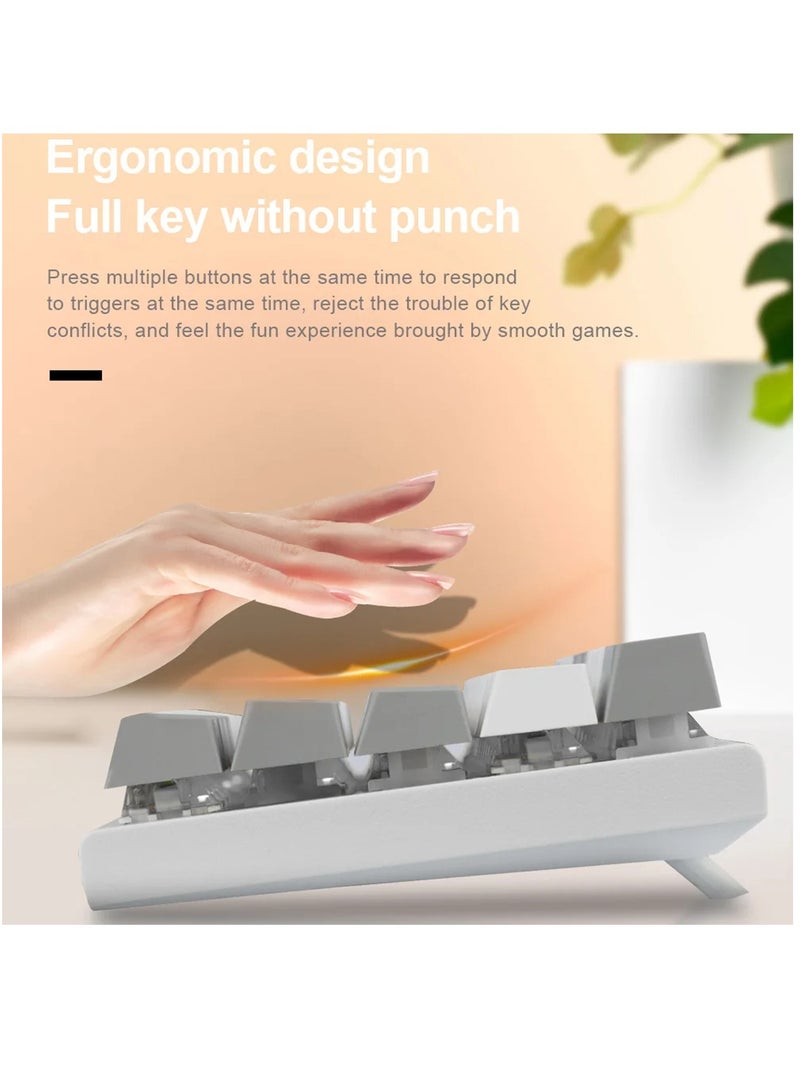 E-YOOSO Z-11 61 Keys Mechanical Gaming Keyboard,Red Switch 60% Wired Compact Keyboard,RGB Backlit and Metal Panel for Windows,Mac OS-Grey White - Image 5