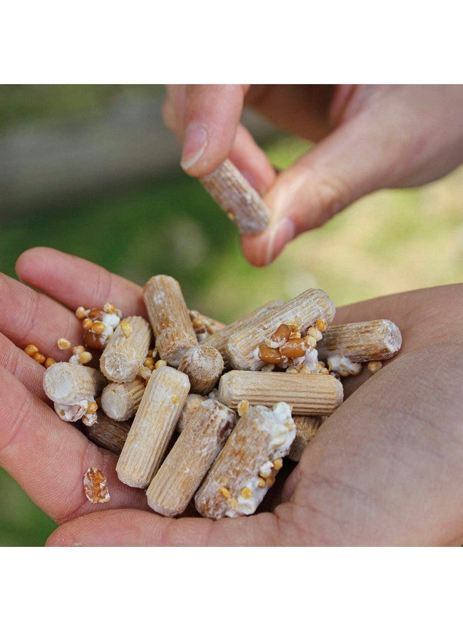Generic North Spore Chicken of the Woods Mushroom Log Kit, Outdoor DIY Mushroom Kit, Easy & Fun Wellness Hobby, Includes 100 Count Mushroom Plugs for Logs, Made in USA, Culinary Mushrooms, Medicinal Mushrooms  - Image 4