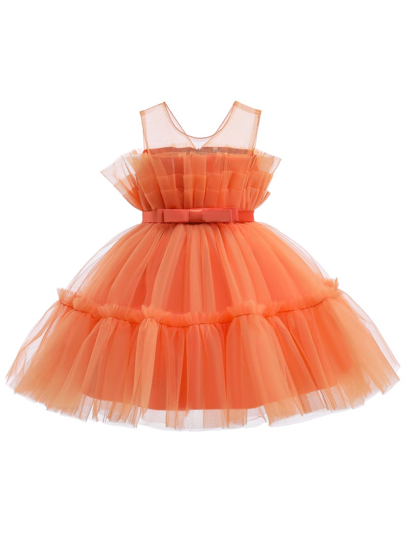 D'Daniela Ruffled Tulle Party Dress - Image 1