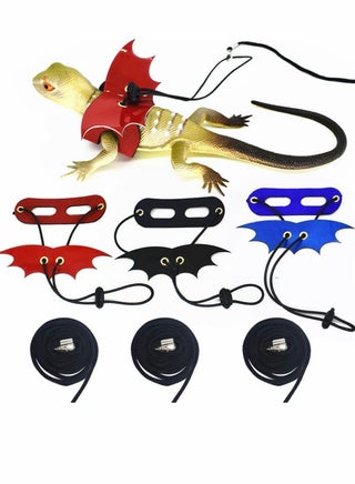 Leash for small animals, Adjustable Bearded Dragon Leash and Harnesses with Cool Bat Wings, Soft Leather Lizard Leash for Bearded Dragon, Amphibians, Reptile (S 3Pcs) - pzsku/Z6D362DF879AF2B6C9DB9Z/45/1747192442/bbfb8594-870b-4540-bc46-6177d575e22a