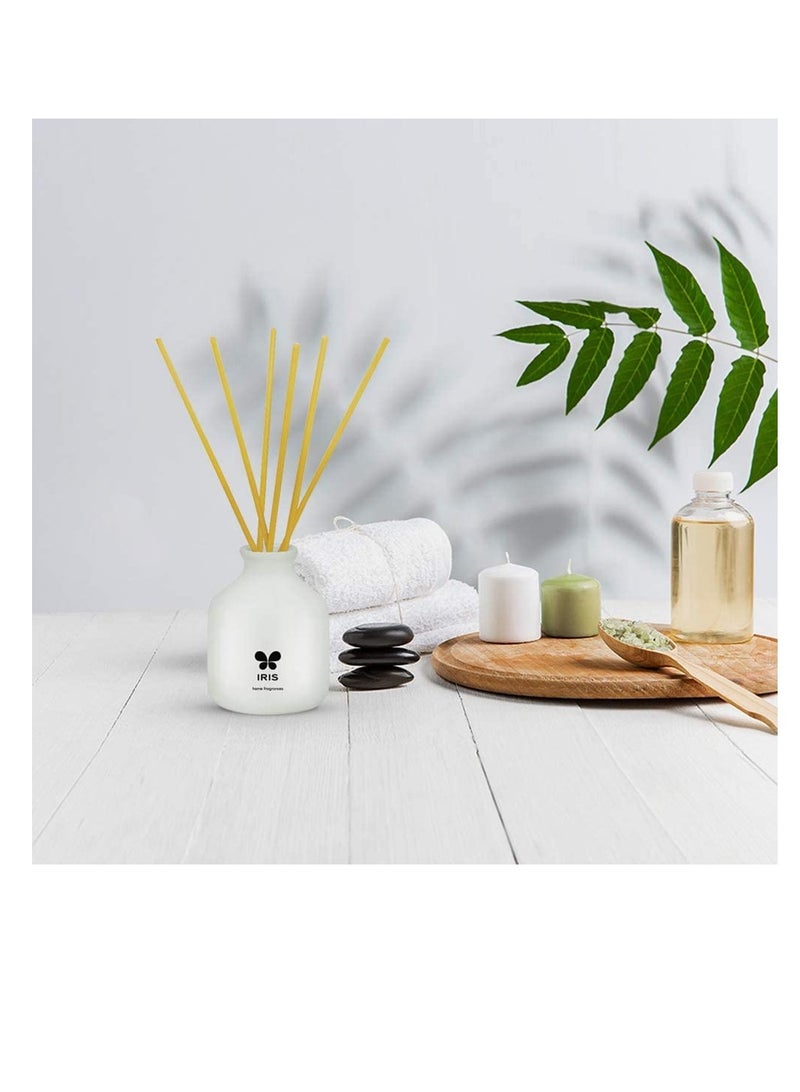 IRIS IRIS Ceramic Reed Diffuser Apple Cinnamon Home Fragrances 60Ml  - Image 5