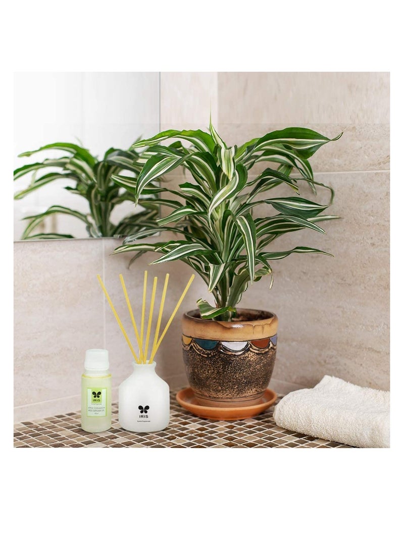 IRIS - IRIS Ceramic Reed Diffuser Apple Cinnamon Home Fragrances 60Ml - Image 1