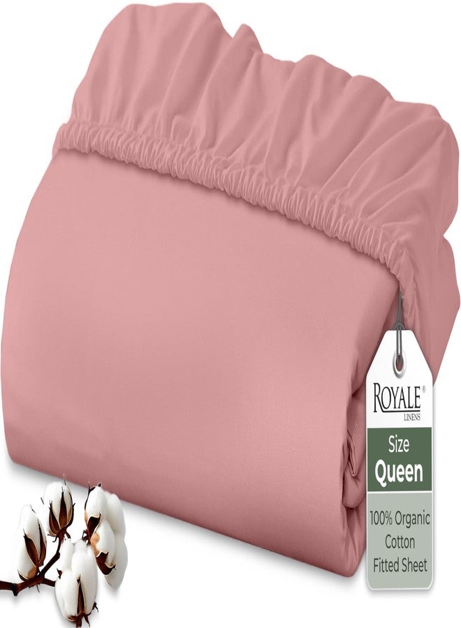 Royale Linens 100% Organic Cotton Fitted Sheet - Percale Weave - Super Soft Deep Pocket Bottom Sheets - Pink Elastic Sheet Queen Size - Queen Fitted Sheets Only - (60"x80"+15", Pink) - Image 1