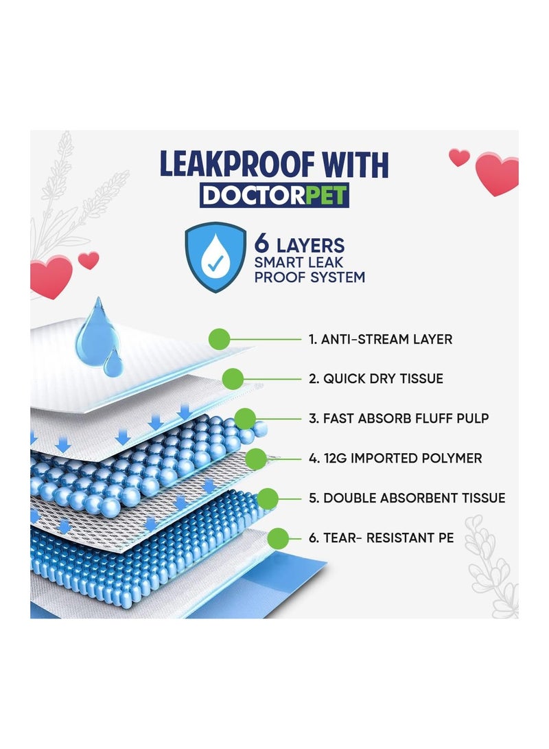 DOCTERPET Doctor Pet Training Pads Lemon 30's (60x60cm) – Large Rapid-Dry Leak-Proof Pads,Scented, 6 Layers Quilted, Superior Absorption, Odor Control, Pet Training for Dogs, Cats, Rabbits - Image 3