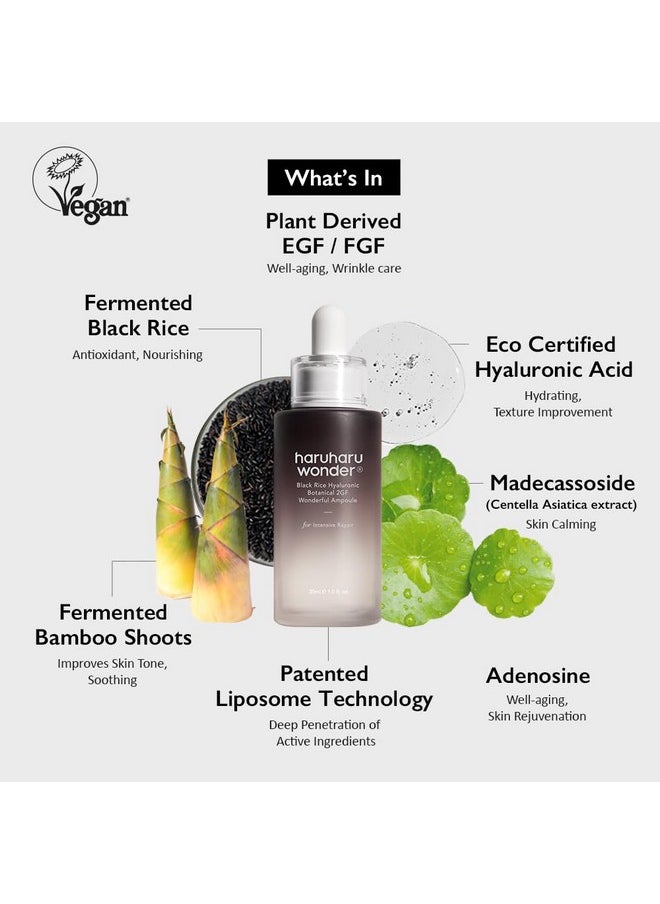 Haruharu Wonder Black Rice Botanical 2Gf Ampoule 1 Fl.Oz / 30Ml | Facial Serum, Egf Serum, Anti-Aging Serum, Wrinkle Care | Cruelty Free, Ewg-Green  - Image 2