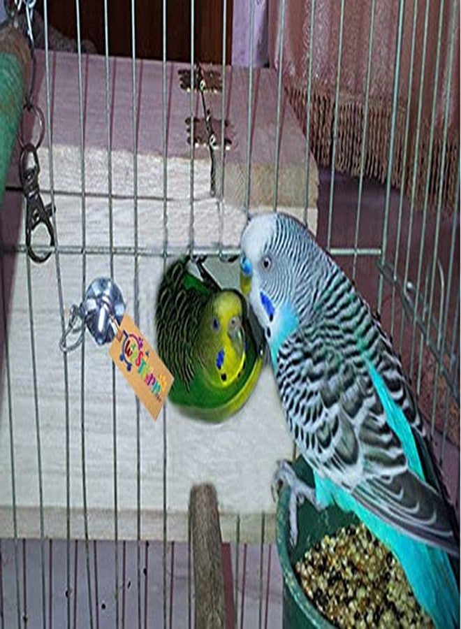 Western Era 9" Jumbo Size Natural Wood Mountable Nest Cum Breeding Box with Perch Attached for Birds - Image 3