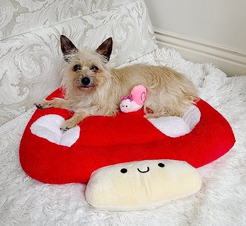 TONBO Soft Plush Small Cute and Cozy Nature Dog Cat Bed Washer and Dryer Friendly Mushroom - Image 3