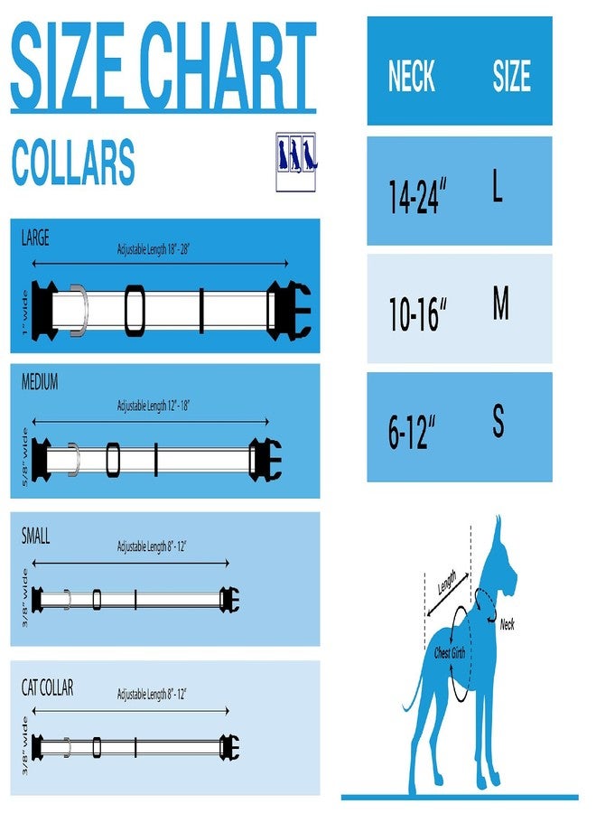 روجز طوق روجز كاتز ألي كات صغير جدًا 5/16 بوصة عاكس للضوء وقابل للفك، لون بنفسجي عاكس - Image 4
