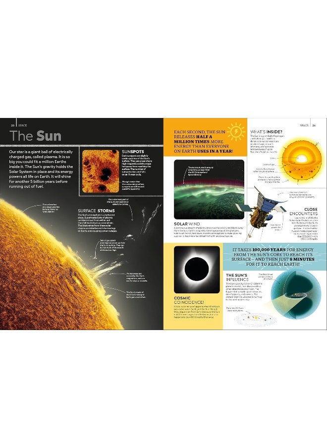 DK Eyewitness Encyclopedia of Everything: The Ultimate Guide to the World Around You  - Image 4