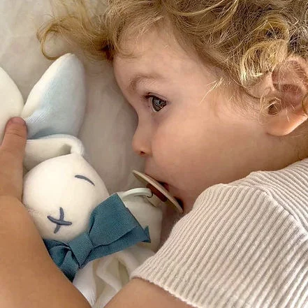 Maud N Lil Organic Bunny Comforter Gift Box