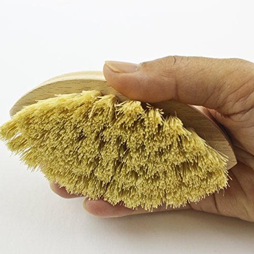Zoie + Chloe 100% Natural Plant-Fiber Soft Bristles Vegetable Brush - Image 3