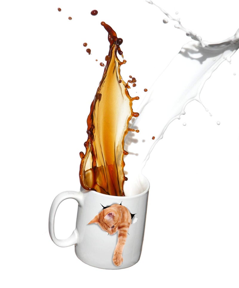 Winston Bear Winston & Bear Adorable Ginger Orange Cat Mug - Funny Ceramic Coffee Mug Gift for Cat Lovers - Perfect Birthday or Christmas, Father's or Mother's Day Gift (11oz) - Image 5