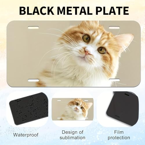 HYHOSHI 10 Pack 045mm Blank Automotive License Plate Plates Tag for Custom Design Work - Image 3
