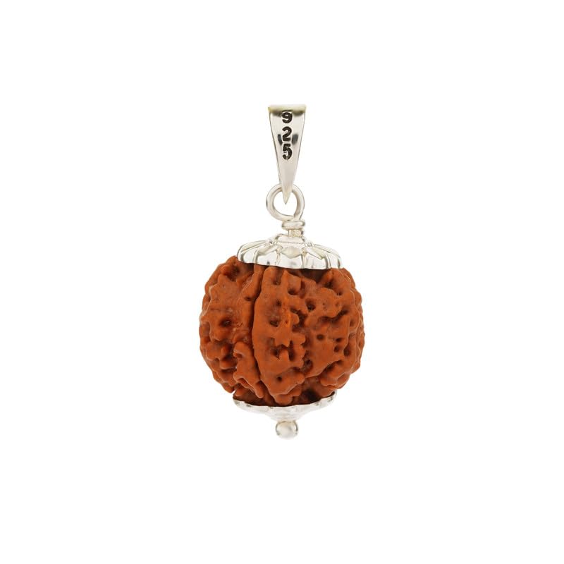 GEMSMANTRA 5 Mukhi Rudraksha With Pendant in 92.5 Sterling Silver, Original Nepali, Regular size, and Lab Certified, Helps to Improve Self Confidence, Spiritual Growth, For Men & Women - Image 3