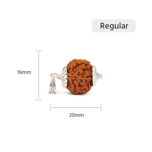 GEMSMANTRA 5 Mukhi Rudraksha With Pendant in 92.5 Sterling Silver, Original Nepali, Regular size, and Lab Certified, Helps to Improve Self Confidence, Spiritual Growth, For Men & Women - Image 2