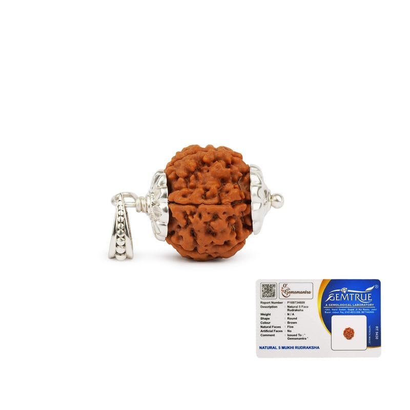 GEMSMANTRA 5 Mukhi Rudraksha With Pendant in 92.5 Sterling Silver, Original Nepali, Regular size, and Lab Certified, Helps to Improve Self Confidence, Spiritual Growth, For Men & Women - Image 1